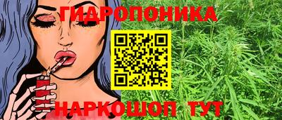 крисы Обь