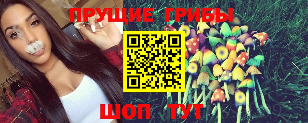 Галлюциногенные грибы GOLDEN TEACHER  Галлюциногенные грибы ЛСД  Вход с VPN  Сегежа 